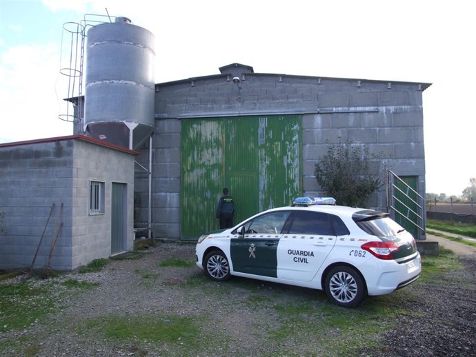 La Guardia Civil de Ourense desarrolla la Operación Vitela.