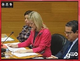 La consellera de Justicia, Gabriela Bravo, en su comparecencia en las Corts