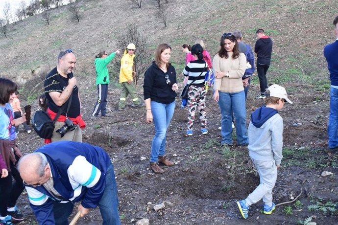 Escolares junto a la delegada durante la plantación en la Sierra de Lújar.