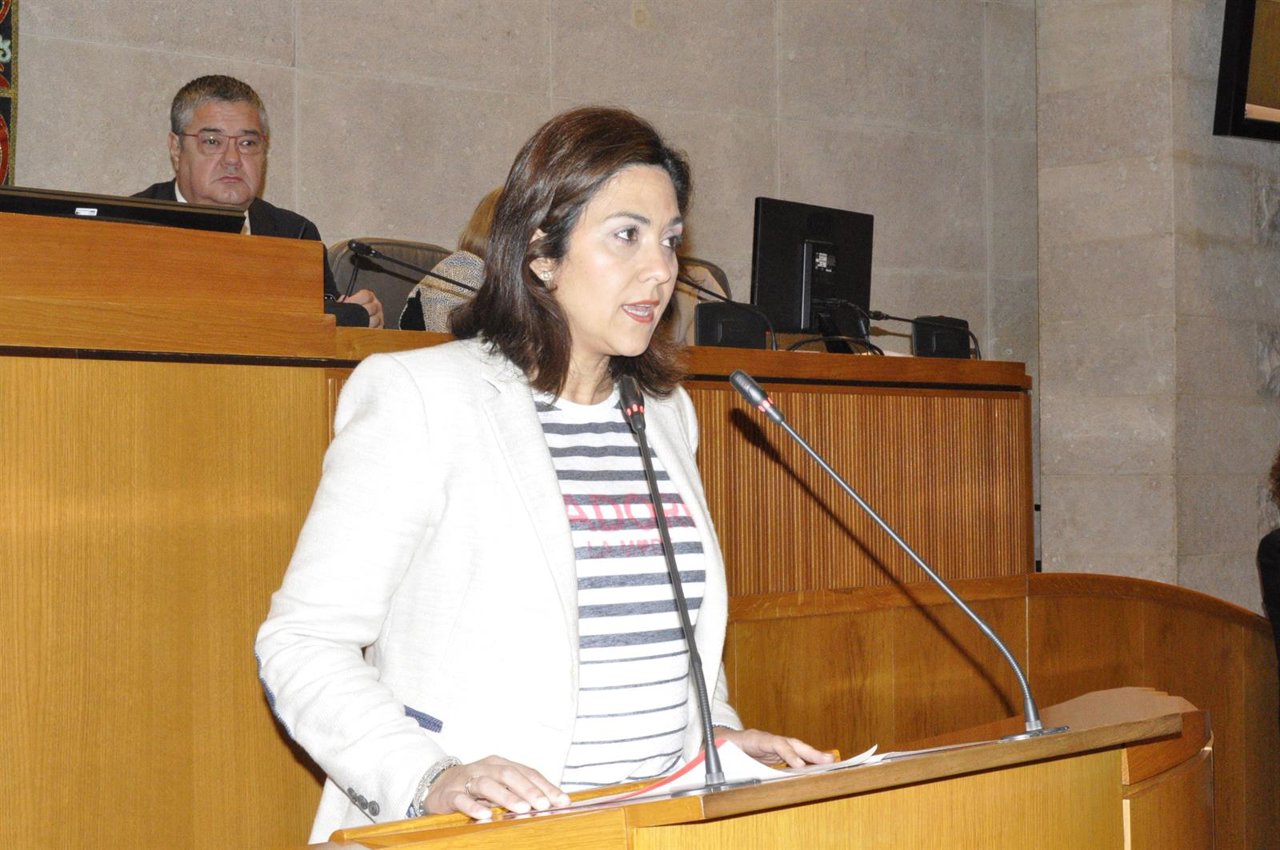 La portavoz de C's, Susana Gaspar, en su intervención en el pleno de las Cortes