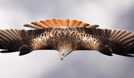 Cooperación y Desarrollo