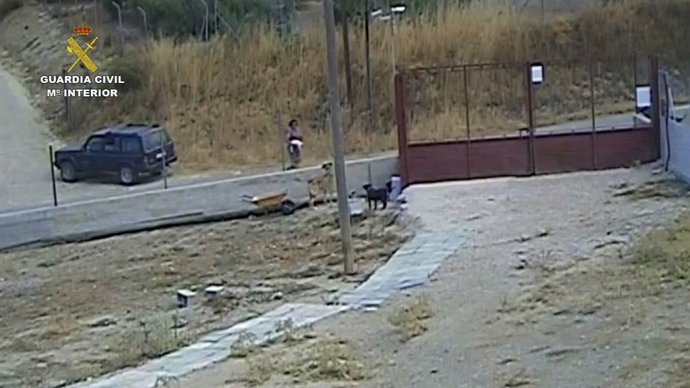 Momento del abandono grabado por las cámaras