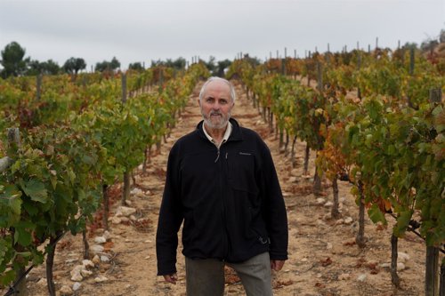 Carlos Gosálvez, viticultor valenciano, es un 