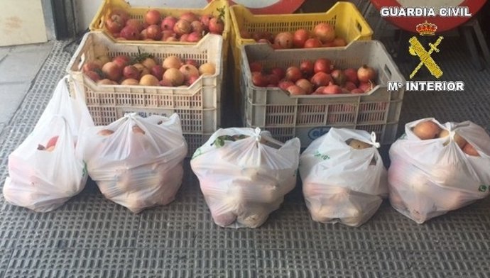 Algunas de las granadas recuperadas