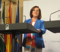 Sánchez Rubio acudirá a la marcha de Madrid contra la violencia machista