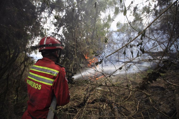 Incendio forestal en Colombia