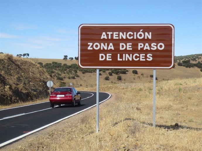 Carretera, coches, linces, tráfico, vehículos, viaje, vacaciones