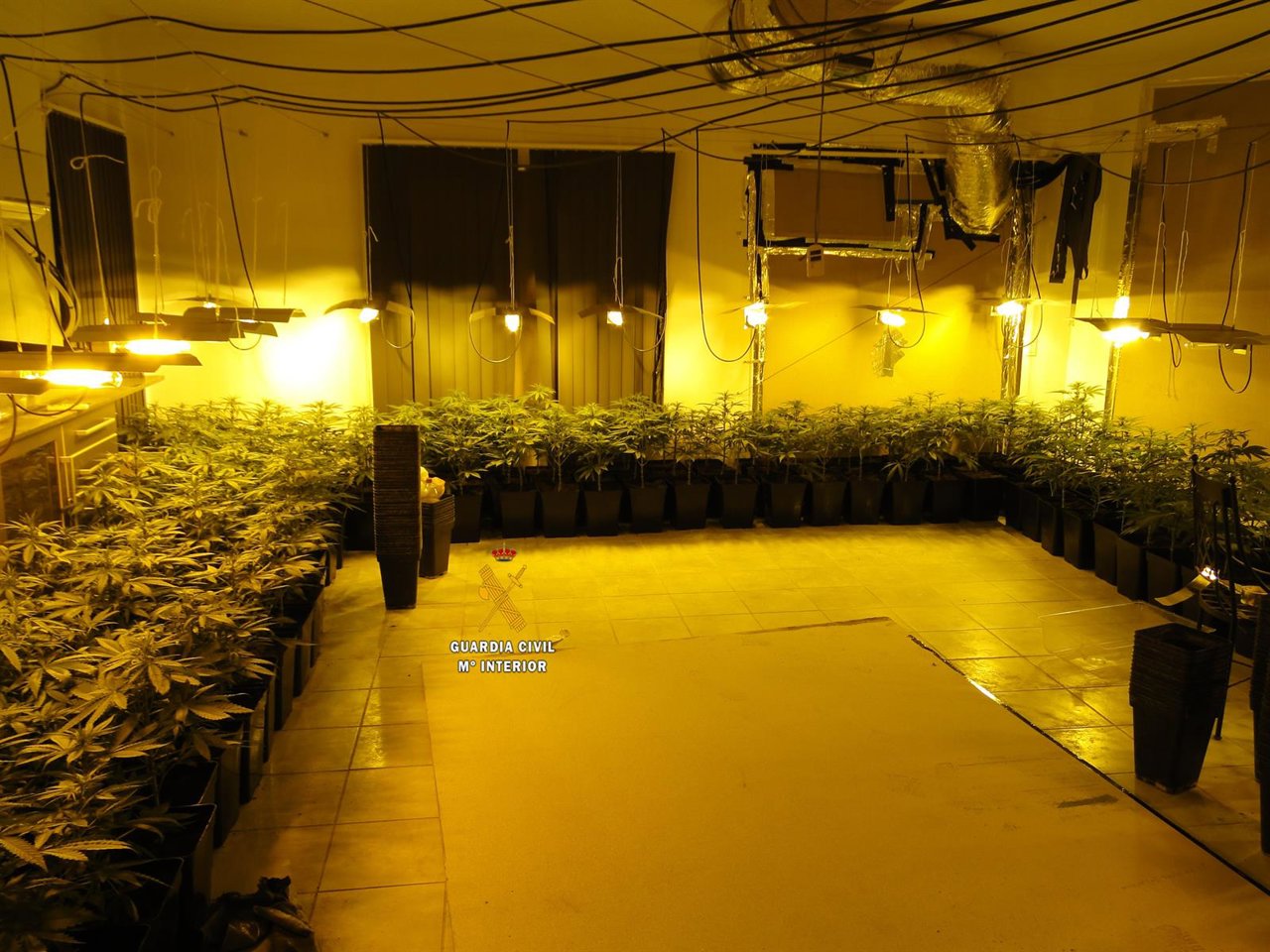 Laboratorio de marihuana intervenido por la Guardia Civil en la Axarquía