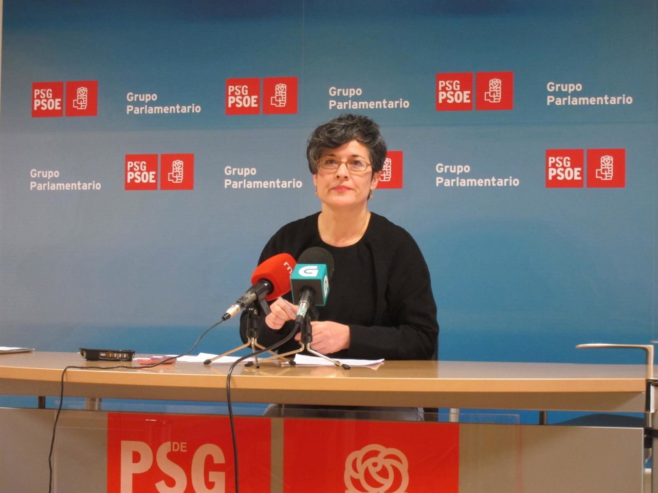 Patricia Vilán (PSOE)