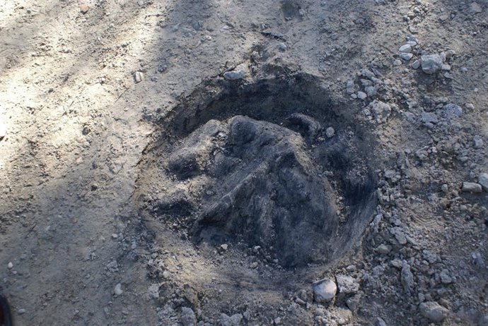 Imagen del lugar en el que impactó el artefacto que podría ser basura espacial