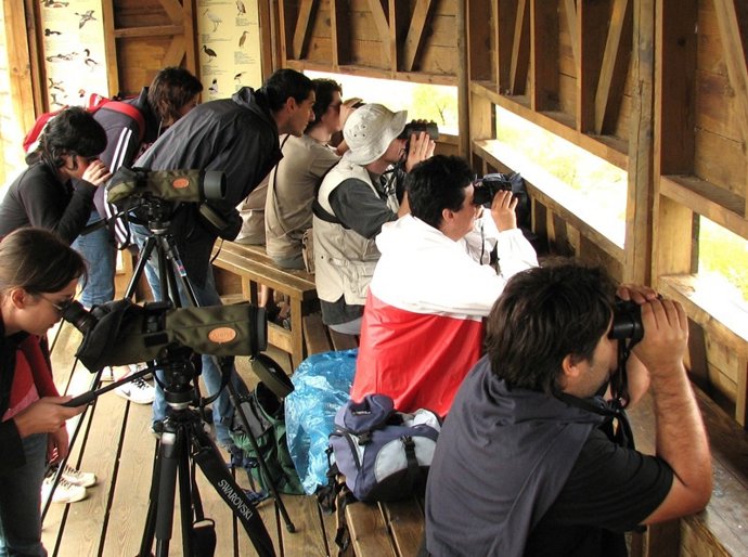 Turistas observando aves en el Delta del Ebro