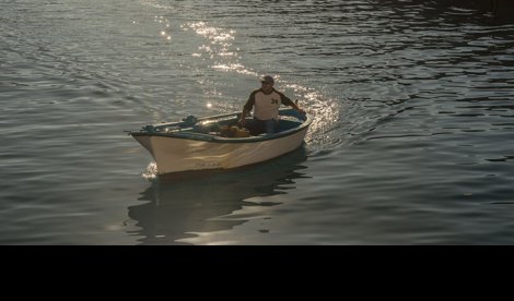 Cooperación y Desarrollo