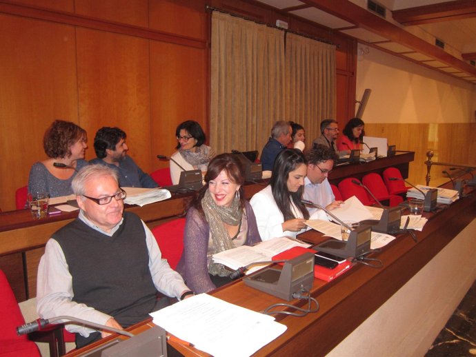 Concejales del gobierno local y Ganemos en el Pleno