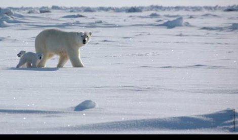 Cooperación y Desarrollo