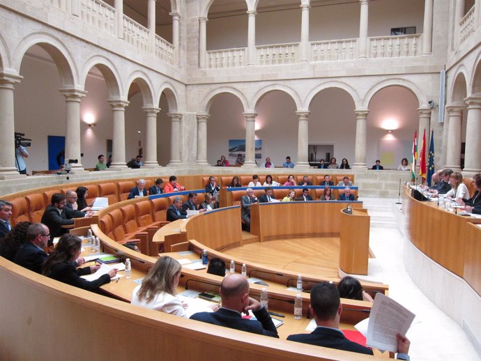 Pleno Parlamento de La Rioja 