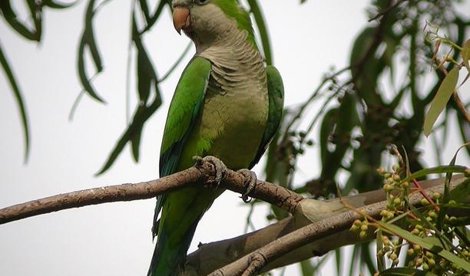 Cooperación y Desarrollo