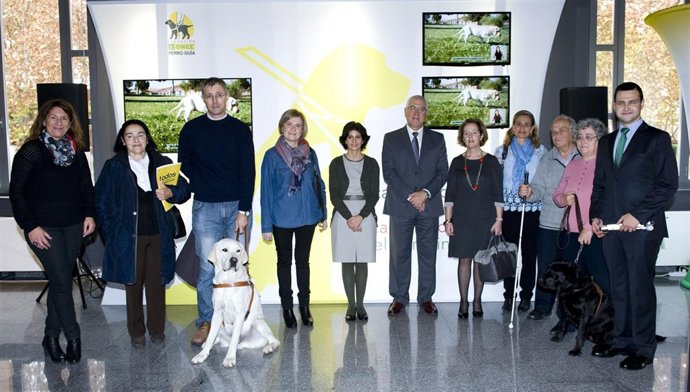 Imagen de la presentación