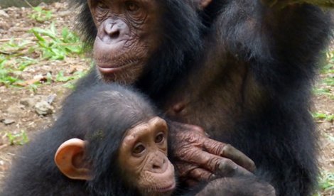 Cooperación y Desarrollo