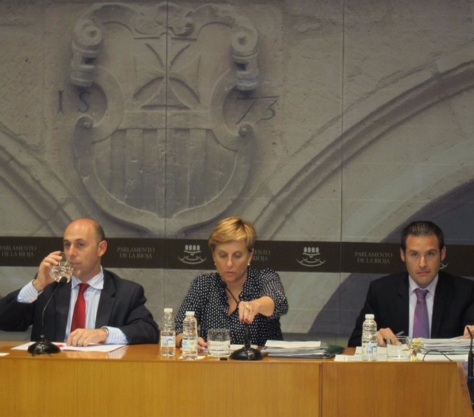 González Menorca comparece para explicar partida presupuestaria de su Consejería