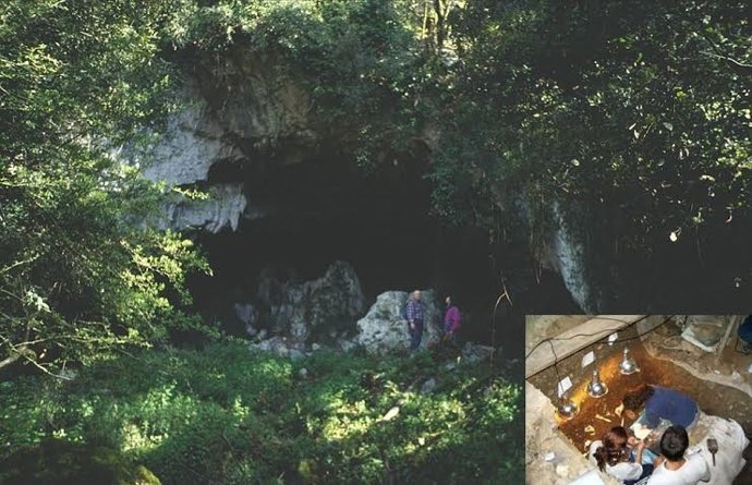 Estudio sobre las abejas en la agricultura