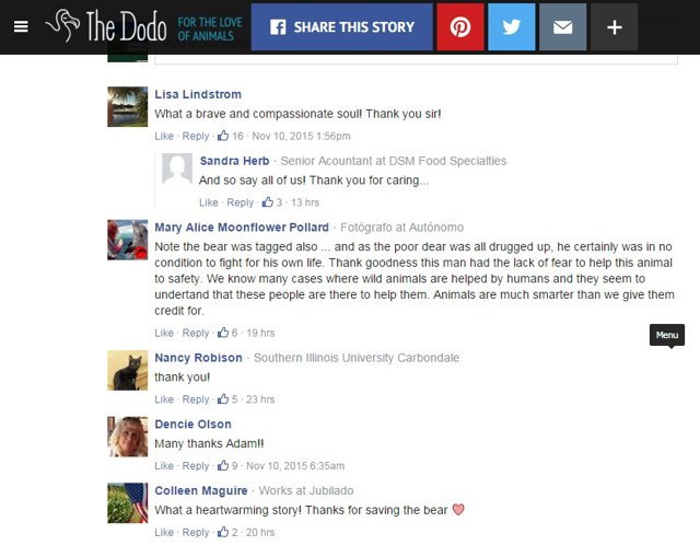 comentarios the dodo