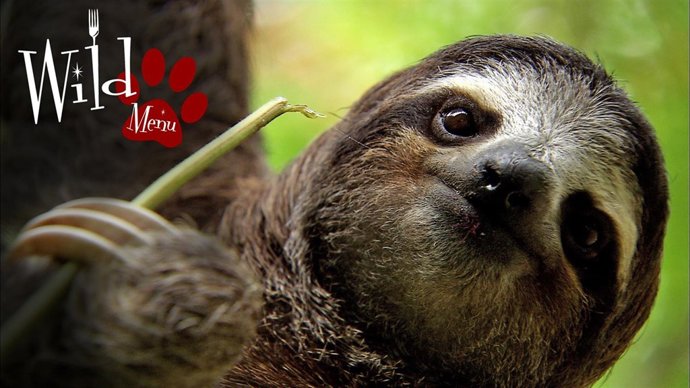 Una de las escenas de la serie.