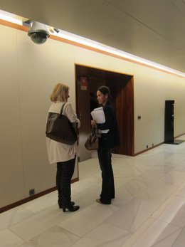 Mercedes Fernández  y Dolores Carcedo hablando en los pasillos de la Junta 