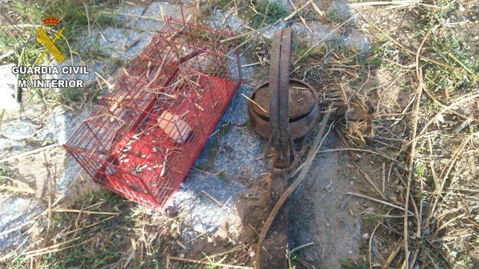 Trampa interceptada por la Guardia Civil. 