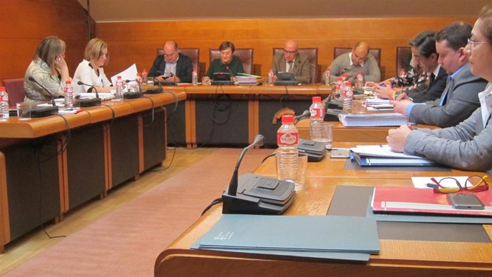 La consejera de Sanidad en el Parlamento