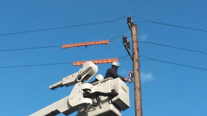 Endesa coloca siluetas de aves para proteger las líneas eléctricas
