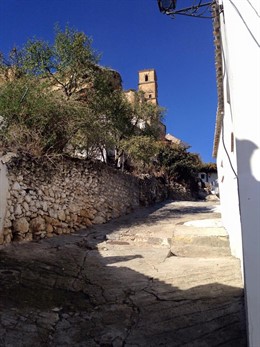 Limpieza de vegetación y arreglo en acceso a Montefrío.