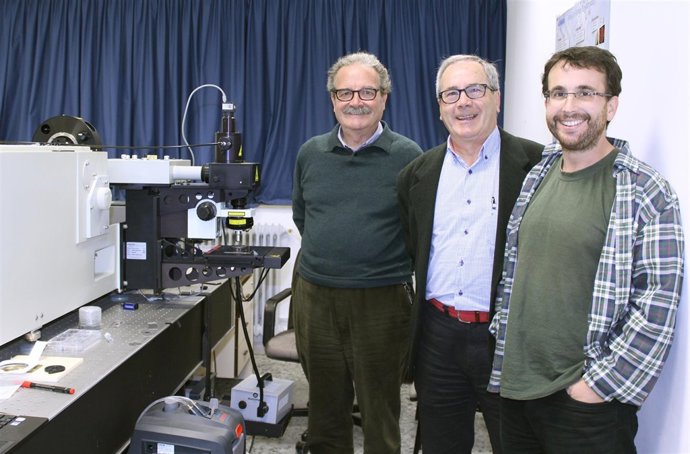 Investigadores UC Publican Estudio Revista Nanoletters