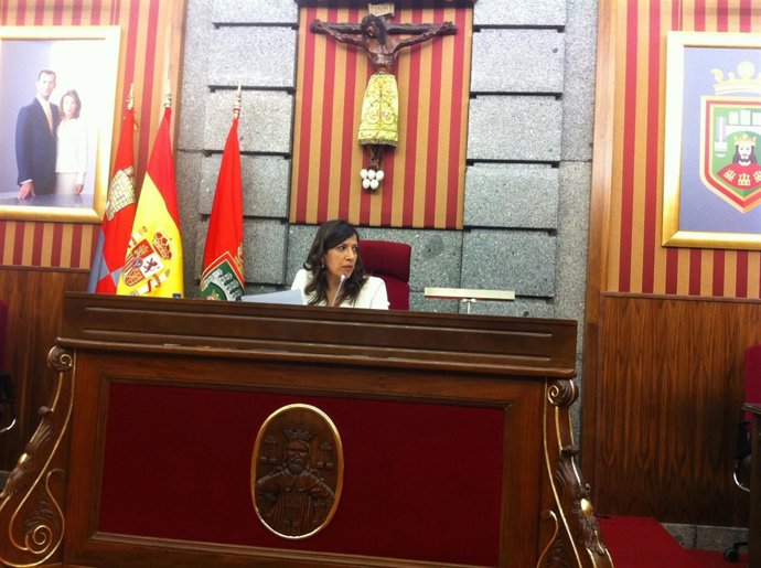 Nuria Barrio, concejal socialista que preside la comisión