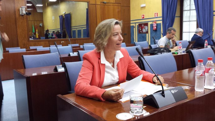 La parlamentaria de Ciudadanos Isabel Albás, en comisión parlamentaria