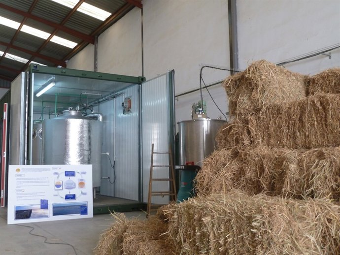 Planta piloto semi-industrial