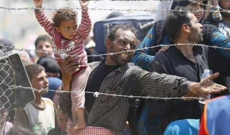 Cooperación y Desarrollo