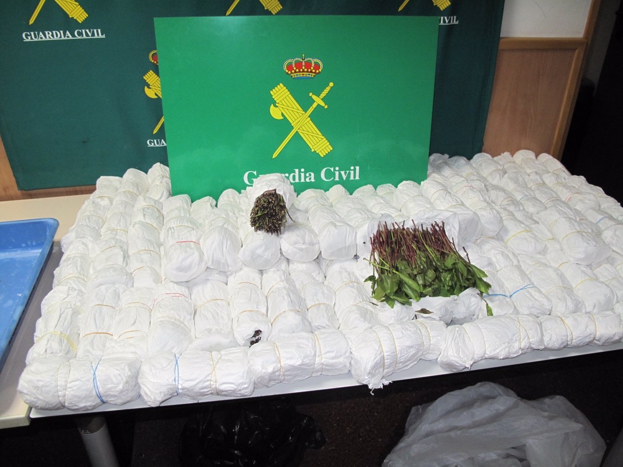 Intervienen 170 kilos de droga 'khat' en el equipaje de 4 pasajeros de El Prat