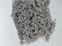 Patentan un biovidrio para construir andamios en 3D que imitan el hueso