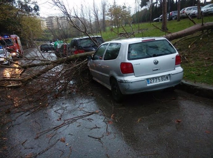 El árbol caído en la Avenida del Faro sobre un coche