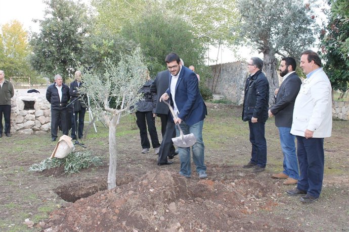 Fira de s'Oliva de Caimari