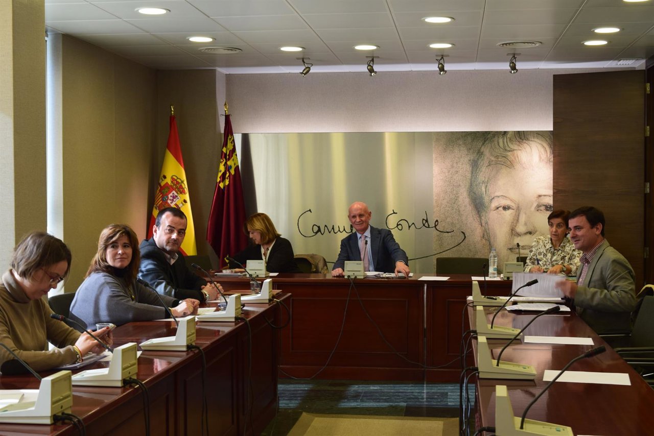Comisión de Sanidad y Asuntos Sociales de la Asamblea