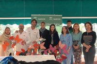 Unos 150 paneles de mariposas decorarán espacios en el Reina Sofía