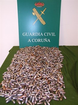 Detenido un vecino de Cambre cin 1.600 bellotas de hachís.