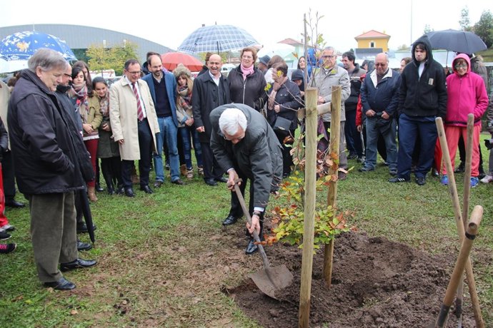 Plantación de un nuevo haya en el Bosque de la Solidaridad