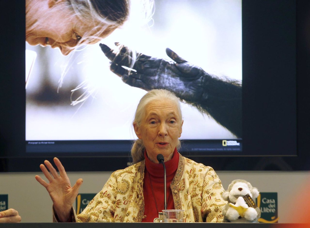 Primatologist Goodall gestures during a news conference to relaunch the Jane Goo