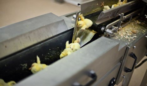 Cooperación y Desarrollo