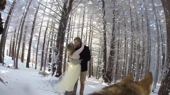 El original y exclusivo vídeo de boda de esta pareja filmado por ¡su perro!