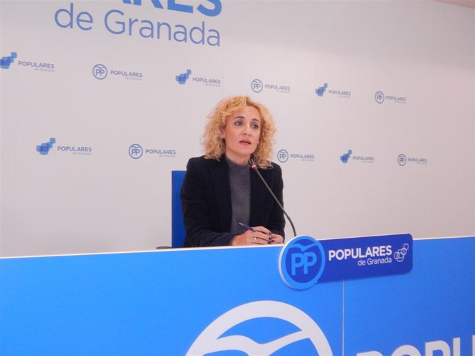 NP Deuda Dependencia Y Propuesta PP Diputación