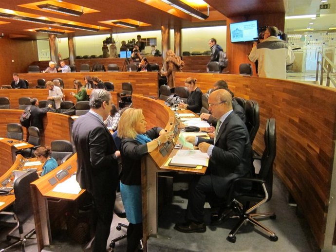 Mercedes Fernández, presidenta del PP asturiano, en la Junta GEneral