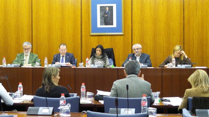 Comparecencia del consejero Emilio de Llera